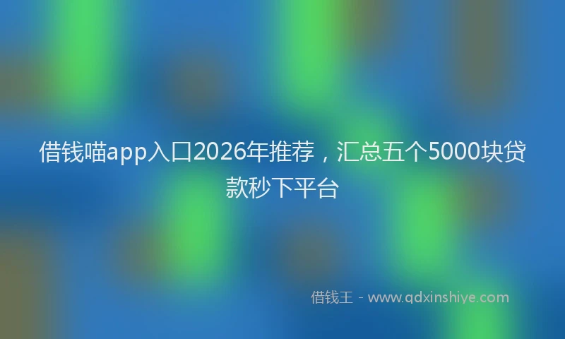 借钱喵app入口2026年推荐，汇总五个5000块贷款秒下平台