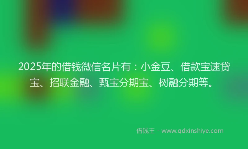 2025年的借钱微信名片有：小金豆、借款宝速贷宝、招联金融、甄宝分期宝、树融分期等。