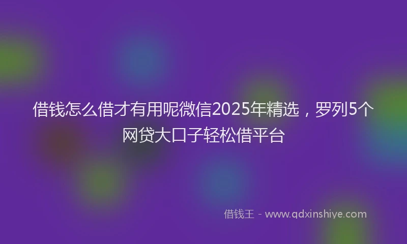借钱怎么借才有用呢微信2025年精选，罗列5个网贷大口子轻松借平台