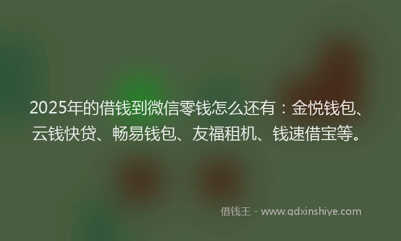 2025年的借钱到微信零钱怎么还有：金悦钱包、云钱快贷、畅易钱包、友福租机、钱速借宝等。
