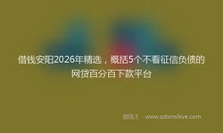 借钱安阳2026年精选，概括5个不看征信负债的网贷百分百下款平台