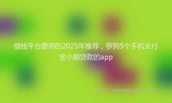 借钱平台管用的2025年推荐，罗列5个手机支付宝小额贷款的app