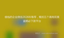 借钱的企业微信2026年推荐，概括五个高炮双黑逾期必下款平台