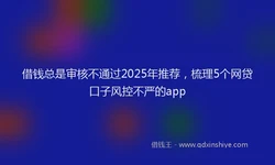 借钱总是审核不通过2025年推荐，梳理5个网贷口子风控不严的app