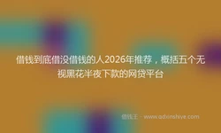 借钱到底借没借钱的人2026年推荐，概括五个无视黑花半夜下款的网贷平台