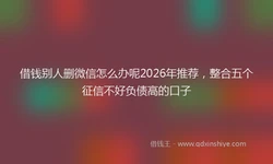 借钱别人删微信怎么办呢2026年推荐，整合五个征信不好负债高的口子