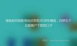 借钱如何追账微信还款呢2026年精选，归纳五个无视黑户下款的口子