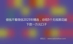 借钱不看微信2025年精选，总结5个无视黑花能下款一万元口子