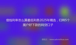 借钱利率怎么算最低利息2025年精选，归纳5个黑户好下款的网贷口子