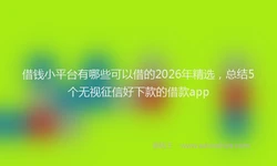 借钱小平台有哪些可以借的2026年精选，总结5个无视征信好下款的借款app