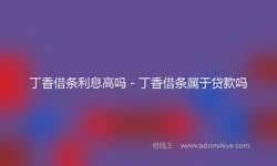 丁香借条利息高吗 - 丁香借条属于贷款吗