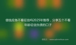 借钱应急不看征信吗2025年推荐，分享五个不看年龄征信负债的口子