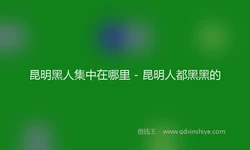 昆明黑人集中在哪里 - 昆明人都黑黑的