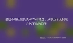 借钱不看征信负债2026年精选，分享五个无视黑户秒下款的口子