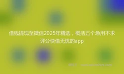 借钱提现至微信2025年精选，概括五个急用不求评分快借无忧的app