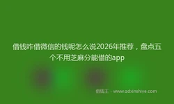 借钱咋借微信的钱呢怎么说2026年推荐，盘点五个不用芝麻分能借的app