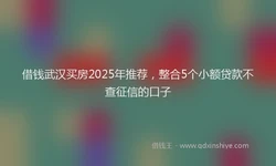 借钱武汉买房2025年推荐，整合5个小额贷款不查征信的口子