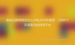 借钱后删掉微信怎么办呢2026年推荐，归纳5个无视黑白的网贷平台