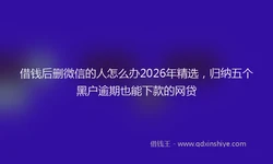 借钱后删微信的人怎么办2026年精选，归纳五个黑户逾期也能下款的网贷