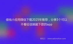 借钱小应用微信下载2025年推荐，分享5个可以不看征信就能下款的app