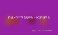 网贷入口***平台有哪些 - 小型网贷平台