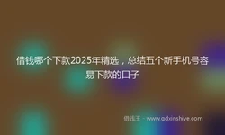 借钱哪个下款2025年精选，总结五个新手机号容易下款的口子