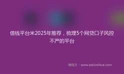 借钱平台米2025年推荐，梳理5个网贷口子风控不严的平台
