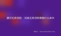 漯河无息贷款 - 河南无息贷款需要什么条件