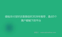 借钱支付宝好还是微信好2026年推荐，盘点5个黑户都能下的平台