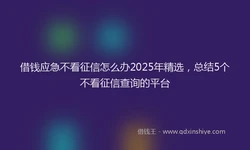 借钱应急不看征信怎么办2025年精选，总结5个不看征信查询的平台