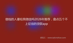 借钱的人要给我微信吗2026年推荐，盘点五个不上征信的贷款app