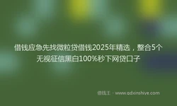 借钱应急先找微粒贷借钱2025年精选，整合5个无视征信黑白100%秒下网贷口子