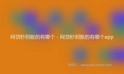 网贷秒到账的有哪个 - 网贷秒到账的有哪个app