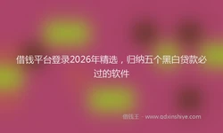 借钱平台登录2026年精选，归纳五个黑白贷款必过的软件