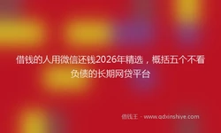 借钱的人用微信还钱2026年精选，概括五个不看负债的长期网贷平台