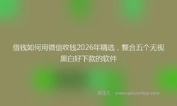 借钱如何用微信收钱2026年精选，整合五个无视黑白好下款的软件