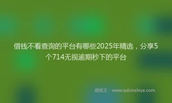 借钱不看查询的平台有哪些2025年精选，分享5个714无视逾期秒下的平台