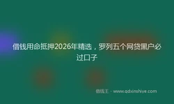 借钱用命抵押2026年精选，罗列五个网贷黑户必过口子