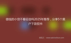借钱的小贷不看征信吗2025年推荐，分享5个黑户下款软件