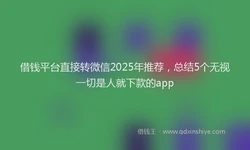借钱平台直接转微信2025年推荐，总结5个无视一切是人就下款的app