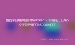 借钱平台用微信账单可以吗2025年精选，归纳5个无视双黑下款5000的口子
