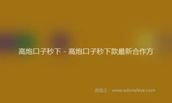 高炮口子秒下 - 高炮口子秒下款最新合作方