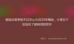 借钱总是审核不过怎么办2025年精选，分享五个征信花了能网贷的软件