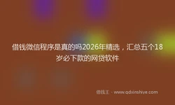 借钱微信程序是真的吗2026年精选，汇总五个18岁必下款的网贷软件
