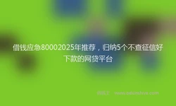 借钱应急80002025年推荐，归纳5个不查征信好下款的网贷平台