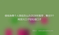 借钱急需个人微信怎么办2026年推荐，整合5个网贷大口子轻松借口子
