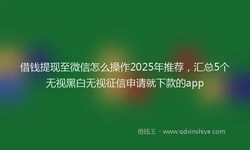 借钱提现至微信怎么操作2025年推荐，汇总5个无视黑白无视征信申请就下款的app
