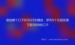 借钱哪个口子好2025年精选，罗列5个无视双黑下款5000的口子