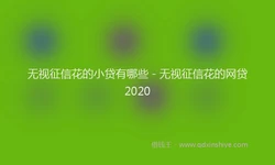 无视征信花的小贷有哪些 - 无视征信花的网贷2020
