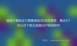 借钱不要验证只需要微信2026年推荐，整合5个百分百下款无视黑白户网贷软件